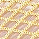 Apricot 4