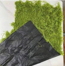 1入人造苔蘚地毯 仿真苔蘚草坪墊 桌面迷你花園裝飾盆栽覆蓋飾品 適用居家、婚禮與派對布置 - A - 查看 5