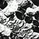 Black and white snake pattern