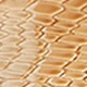 Apricot crocodile pattern