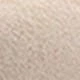 Apricot 1