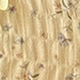 Màu vàng