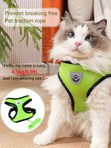宠物牵引绳套装，含防逃脱可调节胸背带和网状项圈，适用于猫狗 - 綠色 - 查看 4