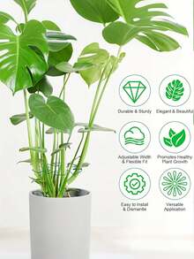4pcs - Green Plant Stem Support Rack - Durable Stable Clamp, Unique Climbing Plant Design, Tortoise Shell Bamboo Clip Set, Ideal Plant Support, Promote Healthy Plant Growth, Decorative Plant Support, Better Fix Plants - green - View 7