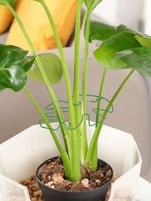 4pcs - Green Plant Stem Support Rack - Durable Stable Clamp, Unique Climbing Plant Design, Tortoise Shell Bamboo Clip Set, Ideal Plant Support, Promote Healthy Plant Growth, Decorative Plant Support, Better Fix Plants - green - View 2