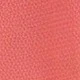 Coral Orange