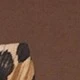 Coffee Brown