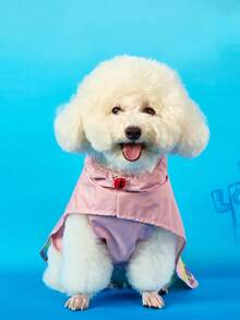 SpongeBob SquarePants | PETSIN Jas Hujan Resmi untuk Hewan Peliharaan, Untuk Anjing Kecil, Sedang, dan Besar, Tersedia Dua Model ( & ), Tahan Air dan Bernapas, Menutupi Seluruh Tubuh, Pas dan Nyaman, Perlengkapan Wajib untuk Hari Hujan bagi Hewan Peliharaan Aktif - MultiWarna - View 7