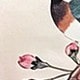 彩色