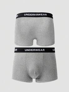 SHEIN Provexi 11pcs/Set Men's Solid Color Boxer Briefs With Letter Waistband - Light Grey - View 3