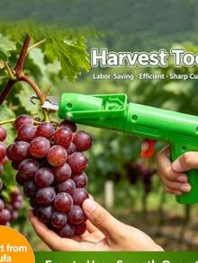 Special Picking Tool For Fruits And Vegetables, Ideal For Picking Prickly Ash, Fruits, Blueberries, Chinese Toon And Grapes - multicolor - View 9