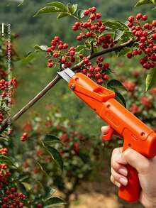 Special Picking Tool For Fruits And Vegetables, Ideal For Picking Prickly Ash, Fruits, Blueberries, Chinese Toon And Grapes - multicolor - View 8