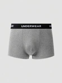 SHEIN Provexi 11pcs/Set Men's Solid Color Boxer Briefs With Letter Waistband - Light Grey - View 4