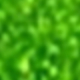 Premium green/green background