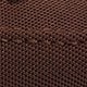 Apricot Brown