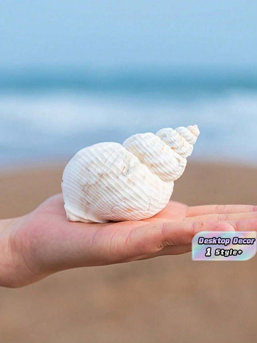 1組隨機尺寸樹脂仿真海螺殼水族裝飾魚缸擺件,天然海洋圖案,可用作寄居蟹替換殼,創意造景桌面家居裝飾海洋主題必備 - 白色 - 查看 1
