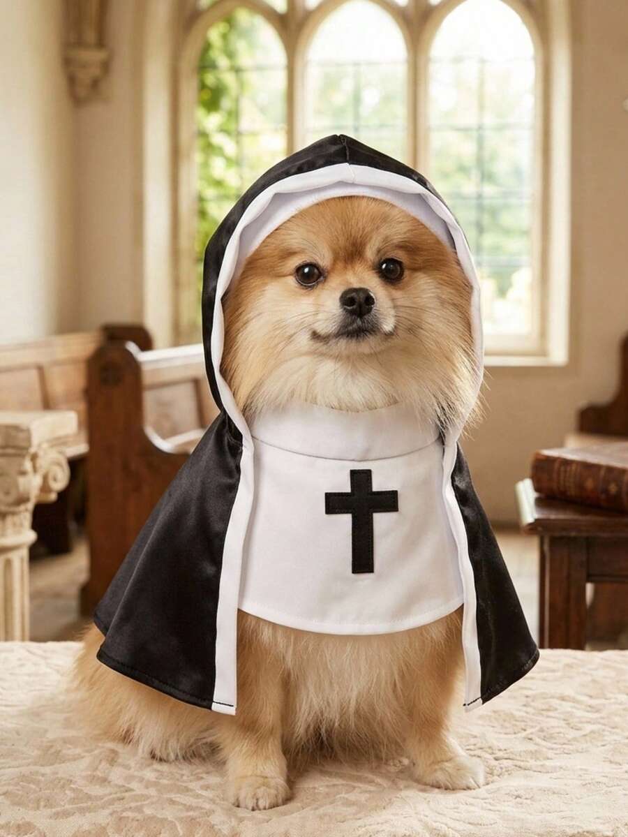 PETSIN 1件萬聖節寵物角色扮演服裝-適合戴帽子的貓或小型犬的趣味衣服 - 黑與白 - 查看 1