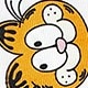 貓