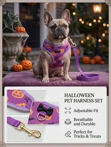 PETSIN Halloween lila husdjurshalsband och koppelset lämpligt för små hundar och katter - Blåröd - Visa 2