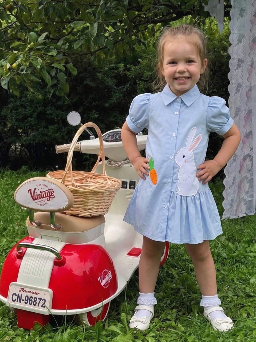 THE HAPPY LOOK Young Girl 3D Embroidered Animal Pattern Patchwork Pleated Asymmetrical Shirt Dress With Puff Sleeves A-Line - Baby Blue - View 1