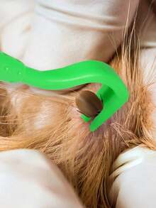 3pcs Pet Tick Removal Tool Set, Flea Remover Hook, Dog & Cat Grooming Tools - Multicolor - View 3