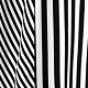 Blanco y Negro