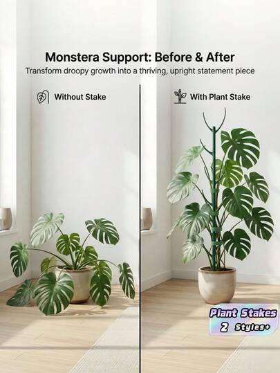 1/6/12 Pcs Monstera Plant Support Stakes Set 5 Stakes + 1 Roll 1m Hook And Loop Stackable Tall Durable Vine Support For Climbing Plant Stem Outdoor Garden Patio Balcony Minimalist Nature Inspired Spring Gardening Gift