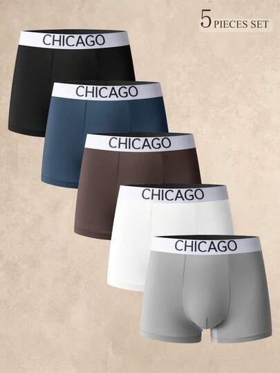 EverLounge 5pcs Comfortable Woven Waistband Minimalist Men's Boxer Briefs