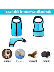 1pc Multicolor Rabbit Harness With Leash, Adjustable Rabbit Chest Strap, Cute Pet Collar And Leash Set For Small Animals Like Rabbit, Ferret, Lizard, Guinea Pig, Hamster - Multicolor - View 9