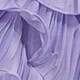 Viola malva