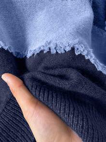 CosyJoli Plus Size Casual Cat Whisker Tassel Color Block Crew Neck Pullover Sweater Autumn Winter Clothes For Women - Blue - View 7