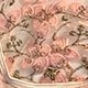 Dusty Pink