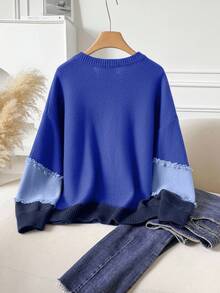 CosyJoli Plus Size Casual Cat Whisker Tassel Color Block Crew Neck Pullover Sweater Autumn Winter Clothes For Women - Blue - View 2