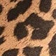 cetak leopard