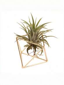 1PC Lightweight Durable Rustproof Iron Triangular Geometric Cube Hanging Planter With Rope For Indoor Outdoor Home Garden Office Balcony Study Living Room Valentine Wedding Holiday Party Decor Modern Farmhouse Style Wall Hanging Gift - Multicolor - View 4