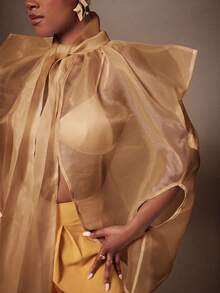 Vixey Elegant Sheer Organza Overlay Layering Neck Tie Top - Brown - View 5