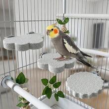 1 buah Tangkringan Berbentuk Burung Beo, Mainan Permukaan Kasar untuk Mengikis Cakar dan Paruh, Aksesori Sangkar Burung - default - View 10