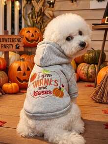 PETSIN 1pc Cat And Dog Universal Clothing, Embroidered Orange Pumpkin Halloween Pet Hoodie, Suitable For Daily Walks, Home, Halloween Costume Parties, And Holiday Photography - Grey - View 3