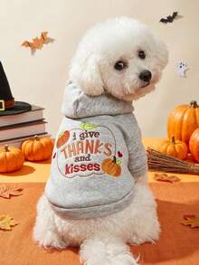 PETSIN 1pc Cat And Dog Universal Clothing, Embroidered Orange Pumpkin Halloween Pet Hoodie, Suitable For Daily Walks, Home, Halloween Costume Parties, And Holiday Photography - Grey - View 1