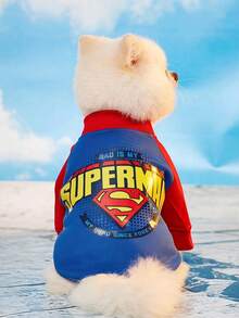 SUPERMAN X PETSIN 1件配色拼接插肩袖圖案寵物運動衫，時尚舒適，透氣面料，尺碼準確，適合貓咪和小狗，適合日常穿著、可愛出遊或居家時尚慵懶穿搭 - 藍色 - 查看 4