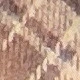 MultiWarna