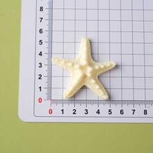 4/8/10 Pcs Resin Conch Ornaments, Resin Five-Finger Starfish Decorations, Mediterranean Style Tabletop Ornaments, Ocean Themed Decor, Wall Decor, Home Decor Collection - multicolor - View 4