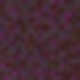 Red Violet
