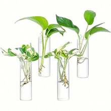 (With Hook) Wall-Mounted Round Glass Plant Pot, For Growing Hydroponic Plants, Home/Office/Garden Decor, Wedding - Multicolor - View 8