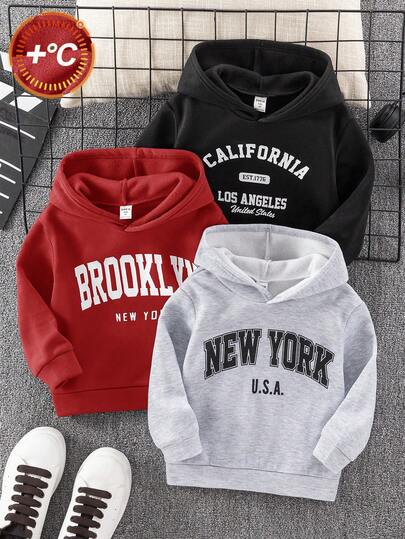 SHEIN 3 piezas Sudadera con capucha con gráfico de letras para niños pequeños en otoño