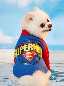 SUPERMAN X PETSIN 1件配色拼接插肩袖圖案寵物運動衫，時尚舒適，透氣面料，尺碼準確，適合貓咪和小狗，適合日常穿著、可愛出遊或居家時尚慵懶穿搭 - 藍色 - 查看 6