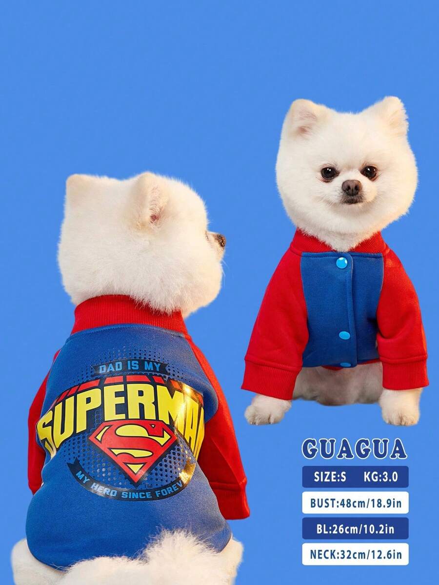 SUPERMAN X PETSIN 1件配色拼接插肩袖圖案寵物運動衫,時尚舒適,透氣面料,尺碼準確,適合貓咪和小狗,適合日常穿著、可愛出遊或居家時尚慵懶穿搭 - 藍色 - 查看 1
