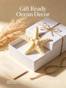 4/8/10 Pcs Resin Conch Ornaments, Resin Five-Finger Starfish Decorations, Mediterranean Style Tabletop Ornaments, Ocean Themed Decor, Wall Decor, Home Decor Collection - multicolor - View 2