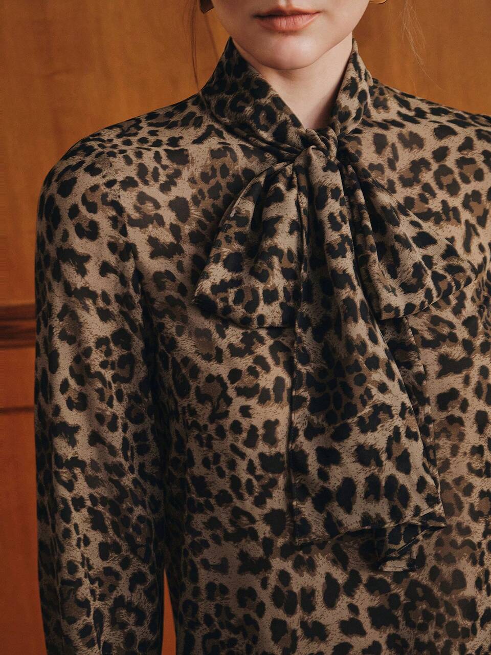 Autumn/Winter New Sexy Elegant Sheer Bow Tie Tie-Front Long Sleeve Women's Blouse For Work And Outings
