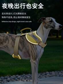 大中型犬用透氣馬卡龍高階狗狗胸背帶式牽繩 - 深棕色 - 查看 4